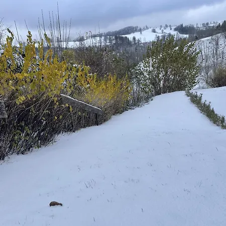 דירה Berghof Arnika *