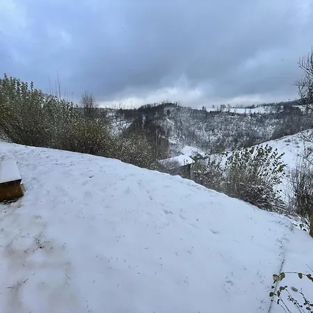 דירה Berghof Arnika *