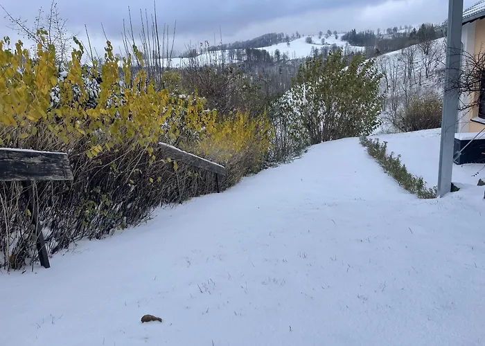 Daire Berghof Arnika *