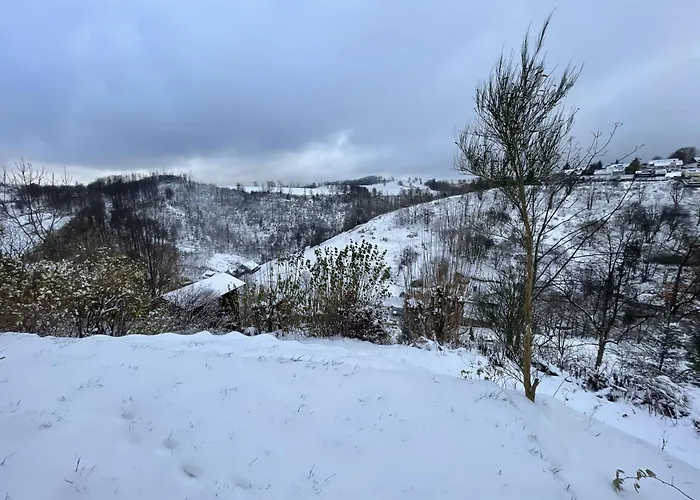 Daire Berghof Arnika